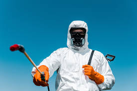 Professional Pest Control in Roscoe, TX